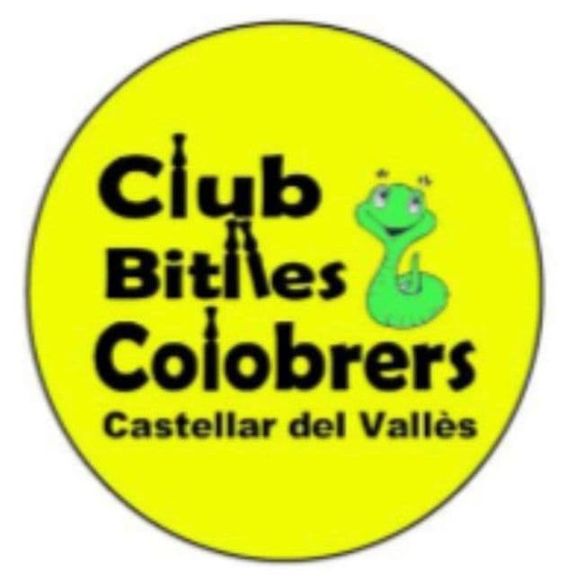 Imatge de l’activitat «Bitlles Catalanes»