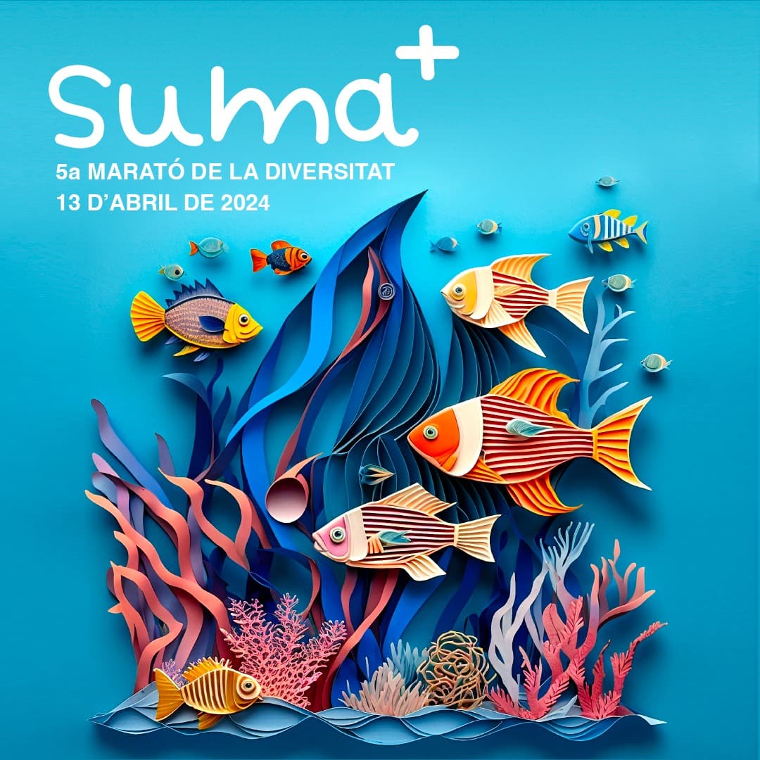 Cartell de la Marató de la Diversitat 2024