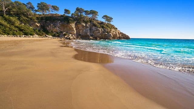 Imatge de l’activitat «Platja de les olors»